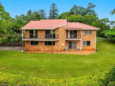 House Sold - NSW - Modanville - 2480 - Open Home Saturday 20th - 12:00 to 12:30  (Image 2)