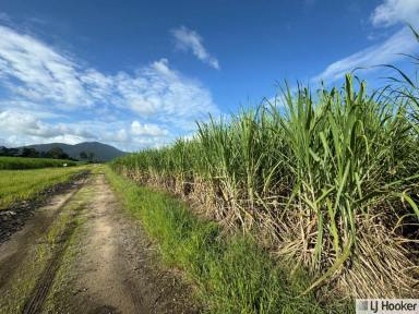Residential Block For Sale - QLD - Rockingham - 4854 - APPROX. 200 ACRE CANE FARM FOR SALE  (Image 2)