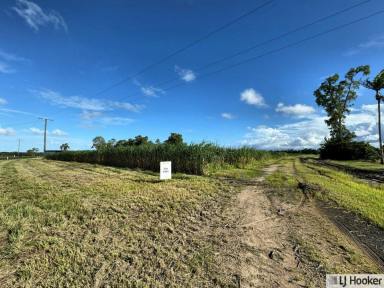 Residential Block For Sale - QLD - Rockingham - 4854 - APPROX. 200 ACRE CANE FARM FOR SALE  (Image 2)