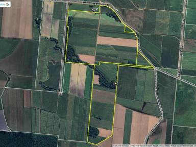Residential Block For Sale - QLD - Rockingham - 4854 - APPROX. 200 ACRE CANE FARM FOR SALE  (Image 2)