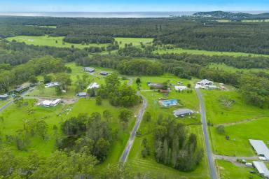 Residential Block For Sale - NSW - Crescent Head - 2440 - Rare As Hen’s Teeth – 2.5 Acre Dream Vacant Block!  (Image 2)