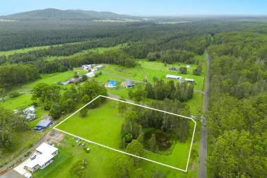 Residential Block For Sale - NSW - Crescent Head - 2440 - Rare As Hen’s Teeth – 2.5 Acre Dream Vacant Block!  (Image 2)