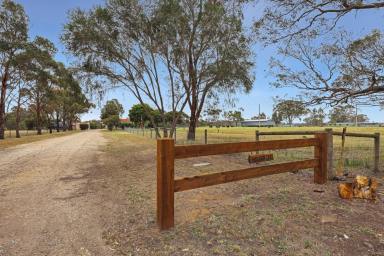 Acreage/Semi-rural Leased - VIC - Eagle Point - 3878 - HILLCREST - HARMONY BETWEEN NATURE AND NUTURE  (Image 2)