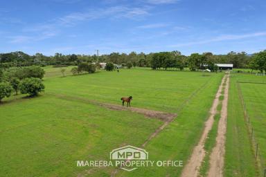 Acreage/Semi-rural Sold - QLD - Mareeba - 4880 - NEAR NEW ACREAGE GEM, CLOSE TO TOWN!  (Image 2)