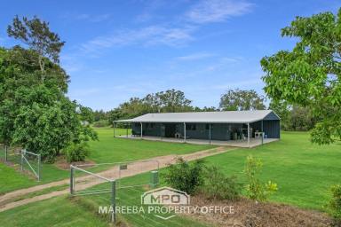 Acreage/Semi-rural Sold - QLD - Mareeba - 4880 - NEAR NEW ACREAGE GEM, CLOSE TO TOWN!  (Image 2)