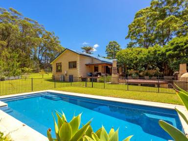 House Sold - NSW - Old Bar - 2430 - QUAINT HOME ON SMALL ACRES - MOTIVATED SELLERS  (Image 2)