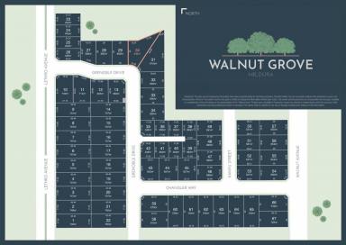 Residential Block For Sale - VIC - Mildura - 3500 - VACANT LAND IN WALNUT GROVE ESTATE  (Image 2)