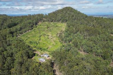 Lifestyle For Sale - NSW - Pillar Valley - 2462 - Rare Hinterland Offering  (Image 2)