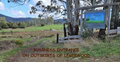 Acreage/Semi-rural For Sale - TAS - Legerwood - 7263 - 32 Acres with near new 5brm house and business opportunity  (Image 2)