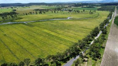 Lifestyle For Sale - QLD - Wooroonden - 4605 - CATTLE OR CULTIVATE  (Image 2)