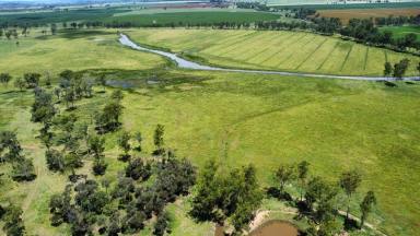 Lifestyle For Sale - QLD - Wooroonden - 4605 - CATTLE OR CULTIVATE  (Image 2)