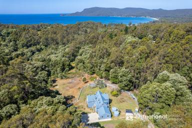 House Sold - TAS - Adventure Bay - 7150 - Private, Luxurious & Close to the Beach…The Perfect Dream!  (Image 2)