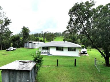 Livestock For Sale - NSW - Kyogle - 2474 - BABYL CREEK BEEF - 756 ACRES  (Image 2)