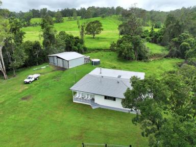 Livestock For Sale - NSW - Kyogle - 2474 - BABYL CREEK BEEF - 756 ACRES  (Image 2)