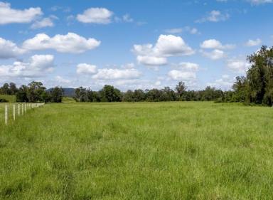 Livestock For Sale - NSW - Kyogle - 2474 - BABYL CREEK BEEF - 756 ACRES  (Image 2)