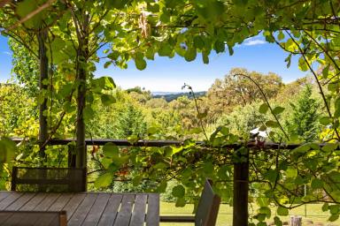 House For Sale - VIC - Red Hill South - 3937 - Enchanting Treechange on an Acre with Bay Views  (Image 2)
