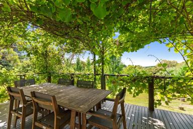House For Sale - VIC - Red Hill South - 3937 - Enchanting Treechange on an Acre with Bay Views  (Image 2)