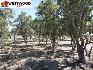 Residential Block For Sale - VIC - Mooroopna - 3629 - Introducing Westwood Rise: A Premier Residential Development  (Image 2)