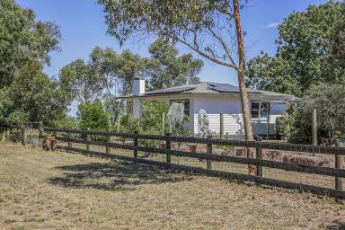 Lifestyle For Sale - VIC - Woorndoo - 3272 - Incredible self sufficient lifestyle opportunity!  (Image 2)