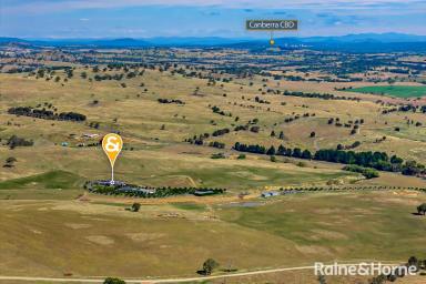 House Auction - NSW - Jeir - 2582 - "Bottega"- Luxury Rural Retreat with State-of-the-Art Living  (Image 2)