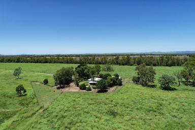 Other (Rural) Sold - QLD - Dakenba - 4715 - Highly Productive Callide Valley Property  (Image 2)