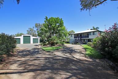 Other (Rural) Sold - QLD - Dakenba - 4715 - Highly Productive Callide Valley Property  (Image 2)