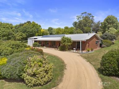 Acreage/Semi-rural For Sale - VIC - Dumbalk North - 3956 - Peaceful Country Living  (Image 2)