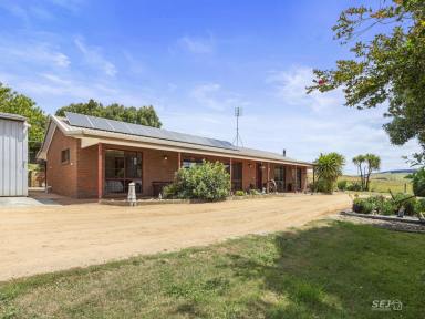Acreage/Semi-rural For Sale - VIC - Dumbalk North - 3956 - Peaceful Country Living  (Image 2)