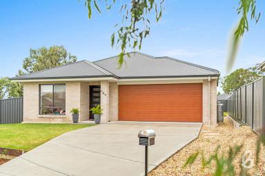 House Sold - NSW - Singleton - 2330 - Near New Family Home in Singleton Heights  (Image 2)
