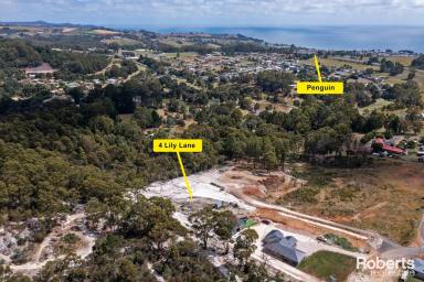 Residential Block For Sale - TAS - Penguin - 7316 - Prime Real Estate Opportunity in Penguin: Elevated Vacant Land with Shed Approval and Spectacular Views!  (Image 2)