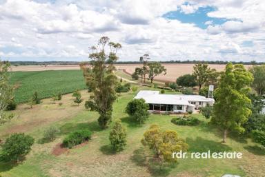 Mixed Farming For Sale - NSW - Delungra - 2403 - "BELLA" - THE BEST OF COUNTRY LIVING  (Image 2)