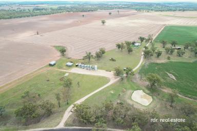 Mixed Farming For Sale - NSW - Delungra - 2403 - "BELLA" - THE BEST OF COUNTRY LIVING  (Image 2)