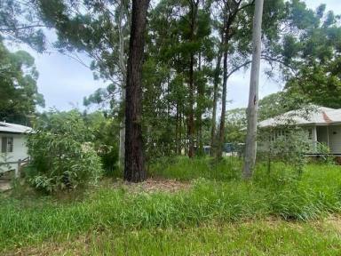 Residential Block For Sale - QLD - Macleay Island - 4184 - Central location  (Image 2)