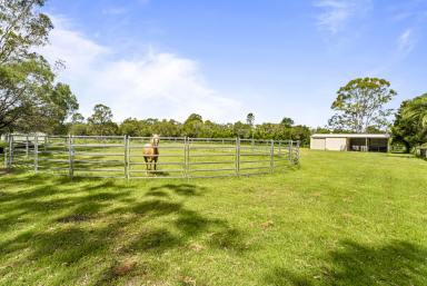 House Sold - QLD - Beelbi Creek - 4659 - Luxurious Rural Estate with Equestrian Paradise  (Image 2)