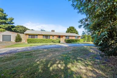 Lifestyle For Sale - VIC - Lang Lang East - 3984 - Country Home, 21 Acres, Private yet Convenient to Town  (Image 2)