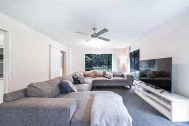 House Sold - QLD - Cooroy - 4563 - Spacious Family Home On Private 2.6 Acres  (Image 2)
