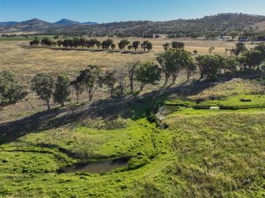 Mixed Farming For Sale - NSW - Willow Tree - 2339 - Mixed Farming Opportunity  (Image 2)