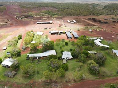 Livestock For Sale - NT - Buchanan - 0852 - APPROVED CARBON PROJECT AND AN INSTITUTIONAL SCALE BEEF BREEDING  (Image 2)