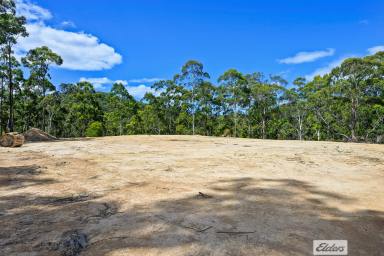 Residential Block For Sale - TAS - Somerset - 7322 - Private Oasis with Direct Access To The Cam River  (Image 2)