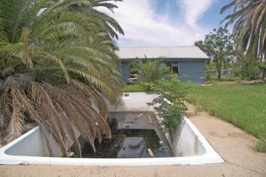 Residential Block For Sale - NSW - Bourke - 2840 - Here's a chance to make a fresh start  (Image 2)