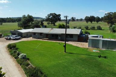 Lifestyle For Sale - NSW - Canowindra - 2804 - Experience tranquillity at this 42 acre retreat!  (Image 2)