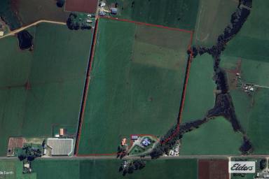 Cropping For Sale - TAS - Forest - 7330 - GREAT POSITION!  (Image 2)