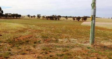 Residential Block For Sale - VIC - Bonn - 3561 - 12 ACRES OF FARM ZONE LAND-$20,000 an acre  (Image 2)