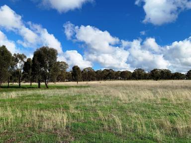 Residential Block For Sale - VIC - Bonn - 3561 - 4.35 ACRES OF FARM ZONE LAND-3 street frontages.  (Image 2)