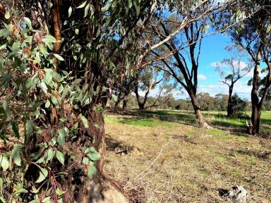 Residential Block For Sale - VIC - Bonn - 3561 - 2.1 ACRES OF FARM ZONE LAND-GREAT WEEKEND GETAWAY-PARK A CRAVAN AND HOBBY FARM.  (Image 2)