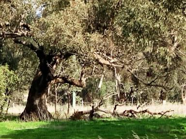 Residential Block For Sale - VIC - Bonn - 3561 - 4.35 ACRES OF FARM ZONE LAND-3 street frontages.  (Image 2)