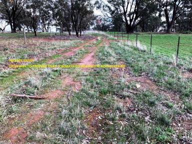 Residential Block For Sale - VIC - Bonn - 3561 - 2.1 ACRES OF FARM ZONE LAND-GREAT WEEKEND GETAWAY-PARK A CRAVAN AND HOBBY FARM.  (Image 2)