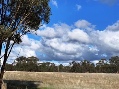 Residential Block For Sale - VIC - Bonn - 3561 - 12 ACRES OF FARM ZONE LAND-$20,000 an acre  (Image 2)