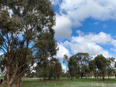 Residential Block For Sale - VIC - Bonn - 3561 - 4.35 ACRES OF FARM ZONE LAND-VACANT RESIDENTIAL RURAL LIFESTYLE ON 3 STREET FRONTAGES  (Image 2)