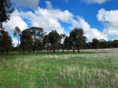 Residential Block For Sale - VIC - Bonn - 3561 - 4.34 ACRES OF FARM ZONE LAND-TERMS AVAILABLE  (Image 2)